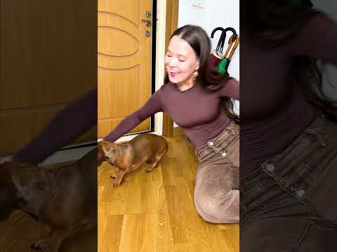 ЧАПИТОСИКИ НЕ ХОТЯТ ОБНИМАТЬСЯ?😟😟😟 thumbnail