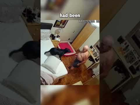 Dog Is His Best Friend 🐶❤️ thumbnail