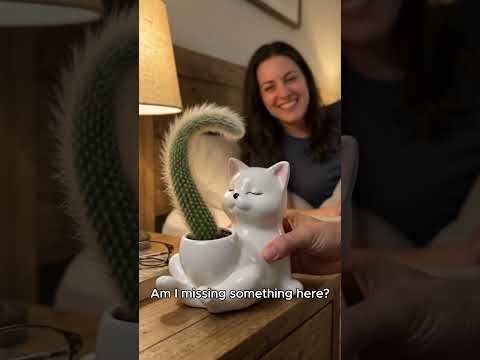 ▶️ This Cat Planter Looks Way Too Funny (# 3285 ) @MaviGadgets thumbnail