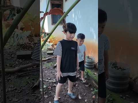 Mama Kaget Teman Ara Mw Pegang Ular Mati Yg D Kubur Satpam Komplek Biar Aman. Jgn Bs Bahaya 🐍🤷‍♀️ thumbnail