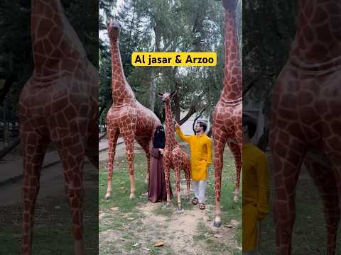 Al Jasar & Arzoo thumbnail