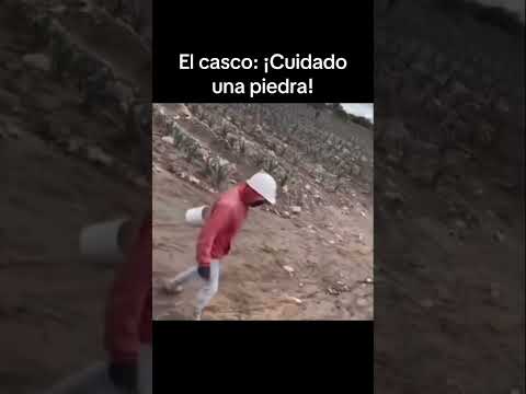 El c4sco fue mas listo thumbnail