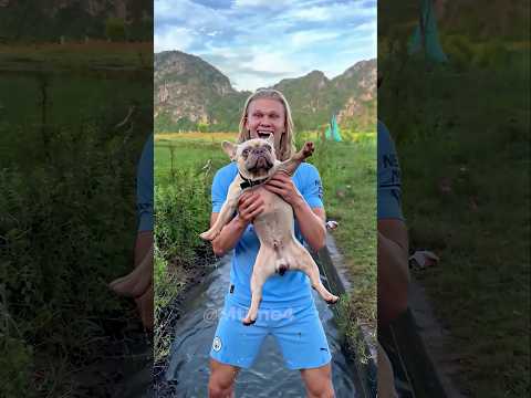Haaland Found the Cutest Thing in the Mud 🐶💀  #football #haaland #parody thumbnail