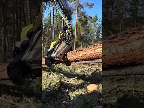 John Deere 1270G + H425: Precision Forestry in Action 🌲 #harvester #forest #johndeere #lumberjack thumbnail