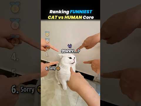 Ranking FUNNIEST CAT vs HUMAN Core Moments!! 🐱🥊 thumbnail
