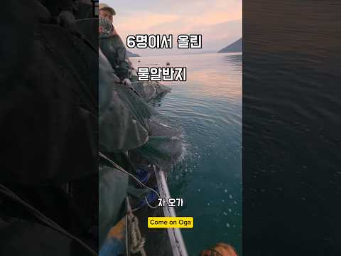 물알로 만들수 있는것은? #남해 #해파리 #바다 #외국인 #경상도사투리 #반지의제왕 #ring thumbnail