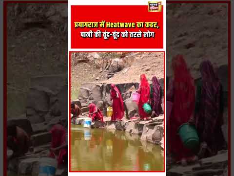 Prayagraj में Heatwave का कहर, पानी की बूंद-बूंद को तरसे लोग | #shorts thumbnail