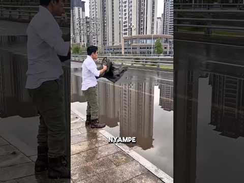 Gak Masuk Akal! Trik Gilanya Ini Bikin Semua Orang Tercengang.. 🚗😱 thumbnail