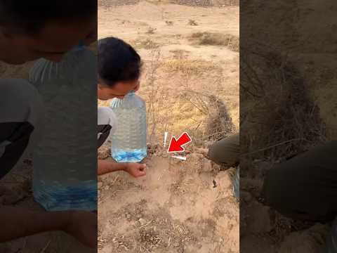 Ông biến sa mạc thành rừng nhờ chai nhựa #shorts thumbnail