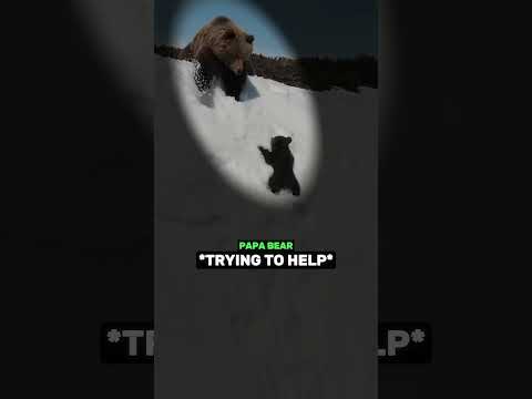 The Toughest Climb ❤️ thumbnail