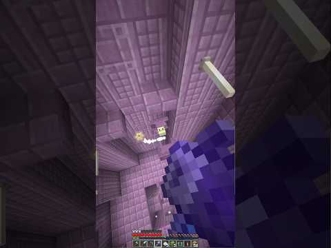 How To Loot An End City thumbnail