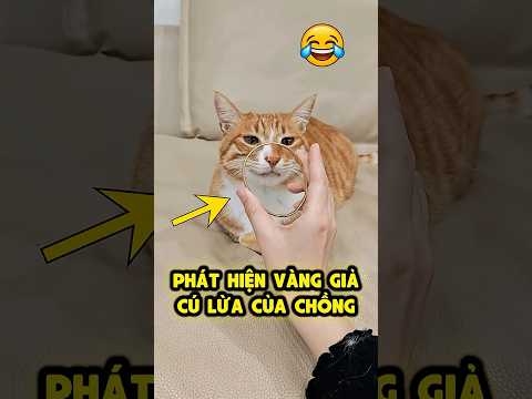 Cú lừa vàng giả của ông chồng mất nết 😁 thumbnail