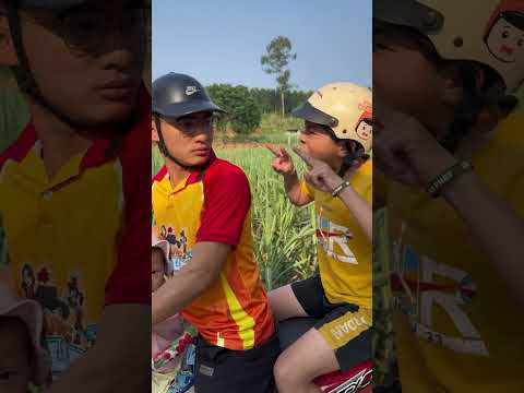 Có phải tiền không 😛 | Tippi Vips #tippitv #tippivips thumbnail