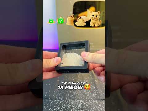 Will all the items fit?? thumbnail