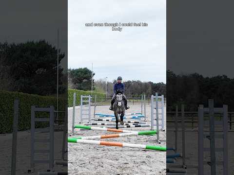 My stallion tries raised trot poles 👀 #stallion #horseriding #equestrian #horses #showjumping thumbnail