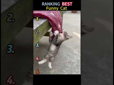 #pov #tools #foryoupage #fyp #fypシ゚viral #fypツ thumbnail