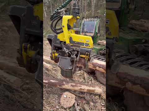 ⭐John Deere 1270G Shreds a Tree in Seconds #forest #johndeere #harvester #logging #forestry #tree thumbnail