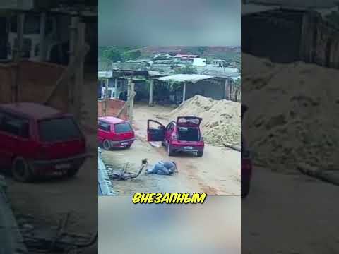 Атака питбуля - но этот парень не дрогнул 😳 thumbnail