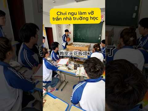 Chơi ngu làm vỡ trần nhà Trường học.|Xàm một chút#giaitri #shorts thumbnail