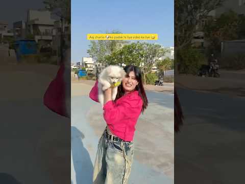 Charlie ki Patli kamariyaan 🤣🐾 || ( thik hai kbhi kbhi auto spelling change ho jati hai 🤣 #shorts thumbnail