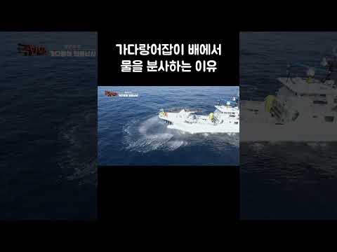 선장이 갑자기 뛰쳐나온 이유 #shorts thumbnail