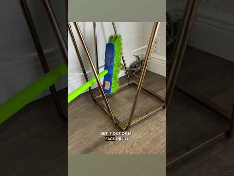 Crab vs Broom - Ozzy Man Quickies thumbnail