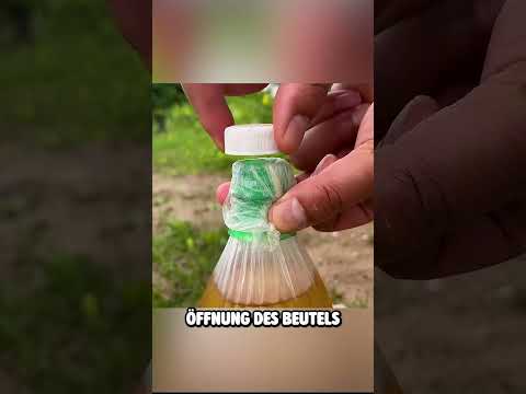 Die genialsten Lifehacks ? #shorts thumbnail