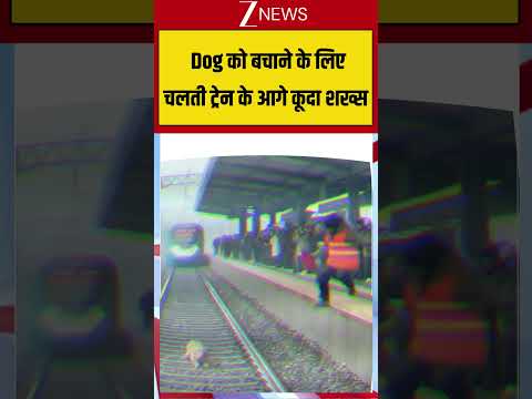 Dangerous Rescue Viral: Dog को बचाने के लिए चलती ट्रेन के आगे कूदा शख्स thumbnail
