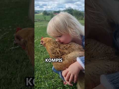 "Här kommer traktor med släp" thumbnail