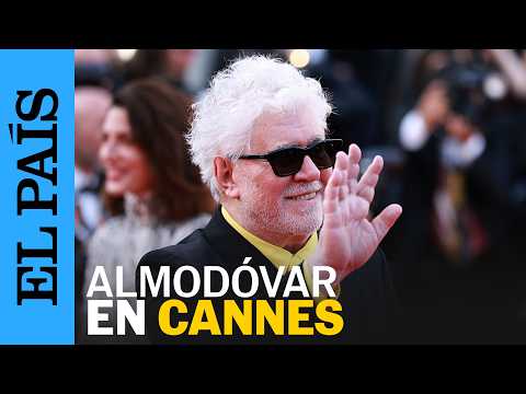 CANNES | Así ha sido la llegada de Almodóvar al Festival para presentar 'Amarga Navidad' | EL PAÍS thumbnail