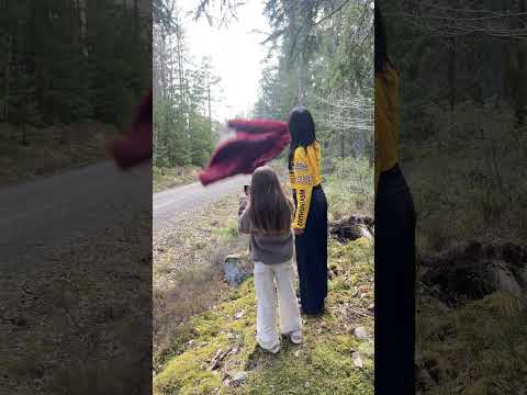 Mod hejar på Tim och Gula Faran i rallyskogen #rally thumbnail