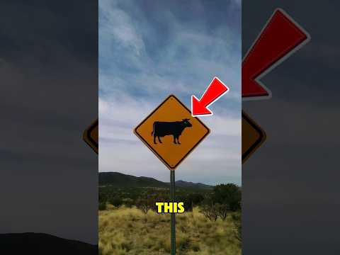 If You Ever See This Sign RUN Immediately‼️😱 thumbnail