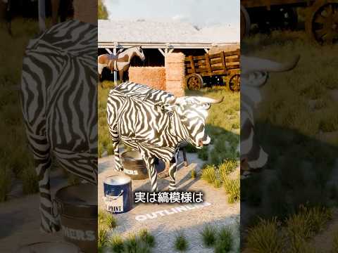牛をシマウマのように塗る理由 thumbnail