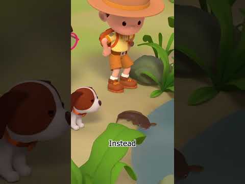 Have you ever seen a FISH WALKING?! | Leo the Wildlife Ranger #shorts thumbnail