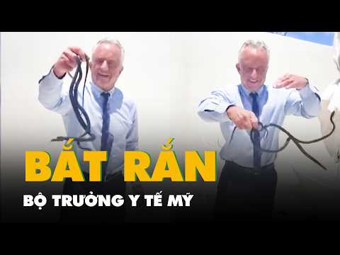 Video Bộ trưởng Y tế Mỹ tay không bắt rắn, bị rắn 'đớp' liên tục thumbnail