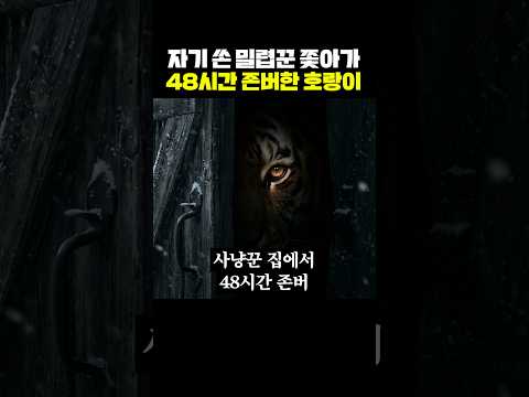 자기 쏜 밀렵꾼 쫓아가 48시간 존버한 호랑이 thumbnail