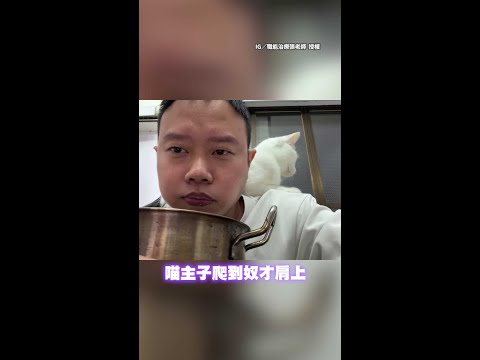 【聲音超奶】妨礙吃飯被訓話！　貓咪「超奶音頂嘴」融化全網 #Shorts thumbnail