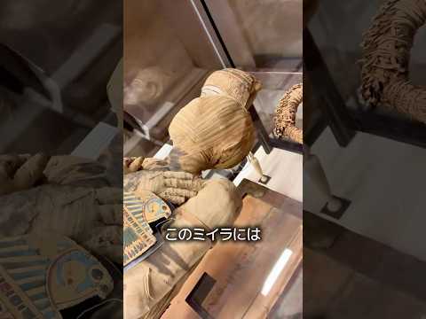 誰も触れられないミイラ thumbnail
