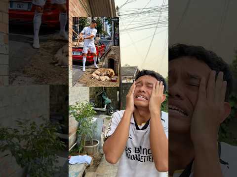 ronaldo perbaiki rumah anjing @cristiano thumbnail
