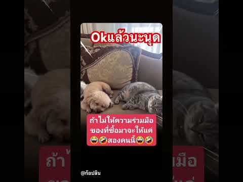 14 พฤษภาคม ค.ศ. 2026 thumbnail
