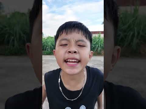 Ăn Trộm Xoài Bất Ổn | Tippi Vips #tippitv #tippivips thumbnail