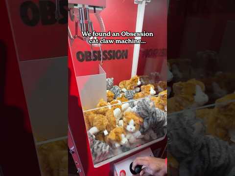 Playing the Obsession Cat Claw Machine thumbnail