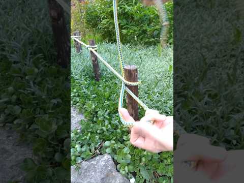 One Great Construction Knot with Many Uses #knot #rope #outdoors #skills #camping thumbnail