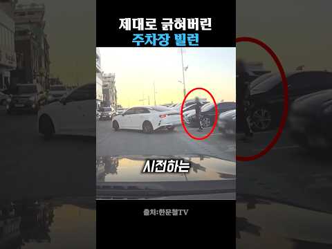 제대로 긁힌 주차빌런 thumbnail