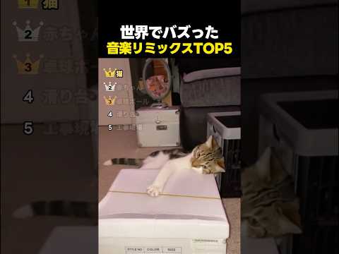 世界でバズった日常の音リミックスTOP5 thumbnail