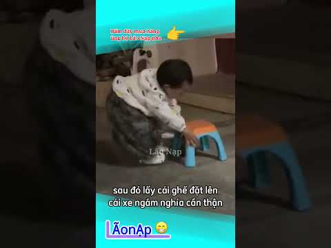 Không hiểu kiểu gì ? #laonap thumbnail