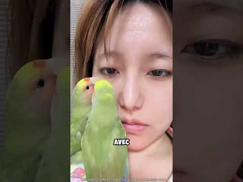 Deux perroquets ont pris la relève d'un médecin 😍🦜 thumbnail