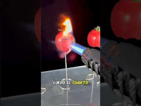 Qué pasa si quemas un tomate durante 30 Segundos thumbnail