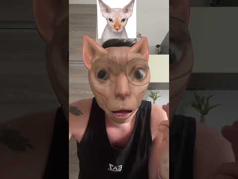 CERCO DI DIVENTARE UN GATTINO BELLO😅 thumbnail