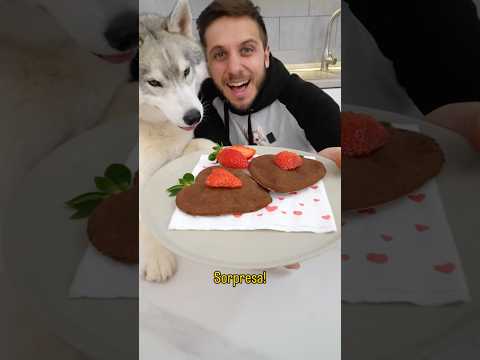 I miei CANI mi fanno una SORPRESA per san valentino! 😍🐶🥹 #cane #cani #dog #dogs #comedy #comico thumbnail